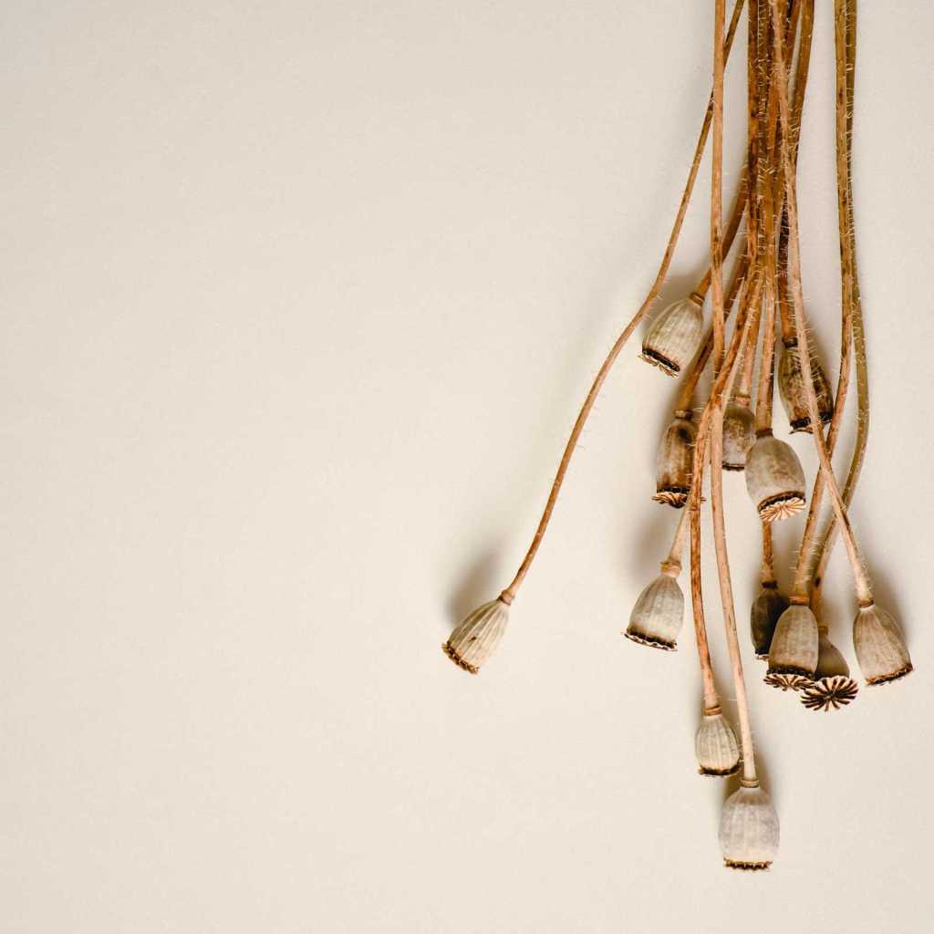 The Importance of&nbsp;Storytelling